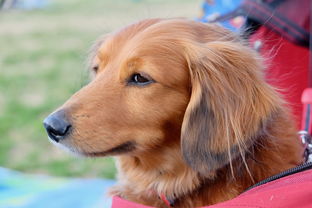 脐带绕颈一周能顺产吗？